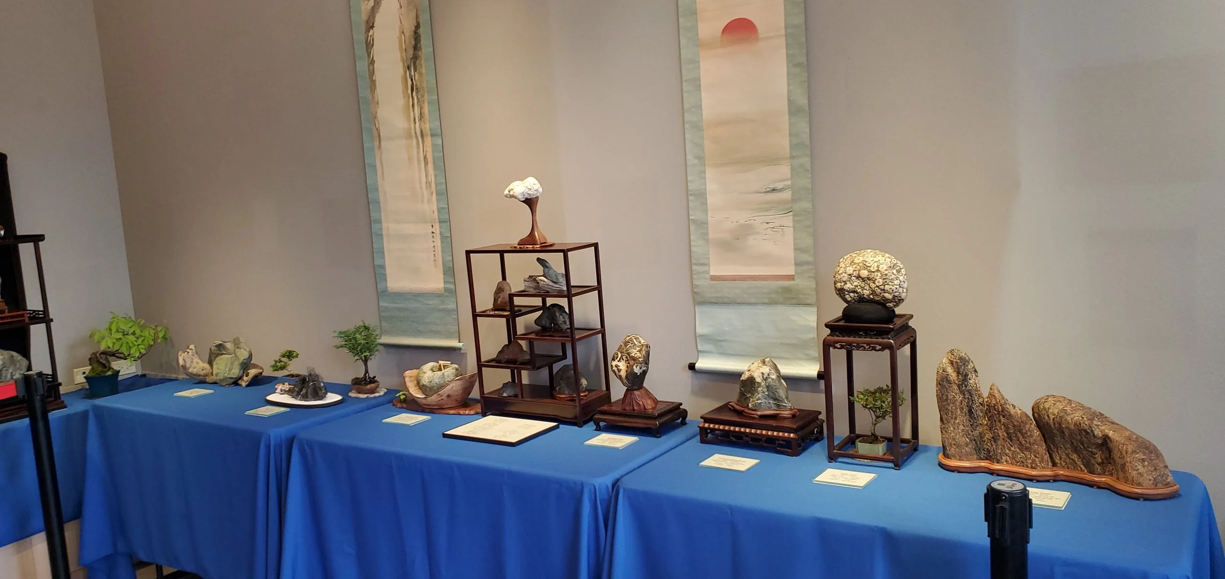 Stone Images XV — Puget Sound Bonsai Association